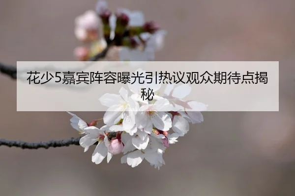 花少5嘉宾阵容曝光引热议观众期待点揭秘