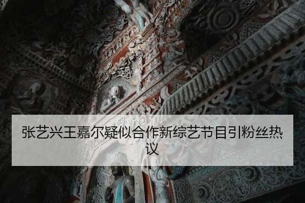 张艺兴王嘉尔疑似合作新综艺节目引粉丝热议